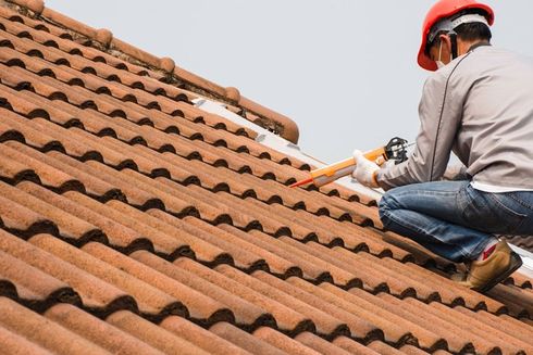 Professionnel entretenant une toiture